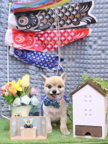 20230520エルくん